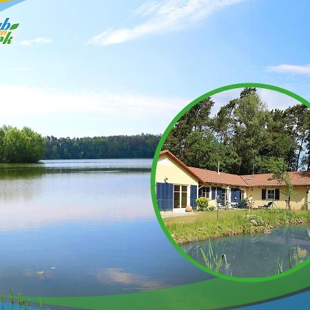 Familien-Suite-Im-Wald-Am-See Bork Екстер'єр фото